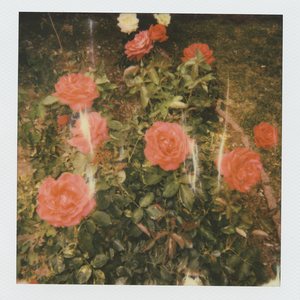 爽⋯躁多水⋯快⋯进不去了91
