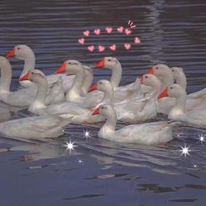 爽⋯躁多水⋯快⋯进不去了91
